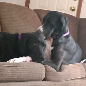 Meet your Posher, Lynn